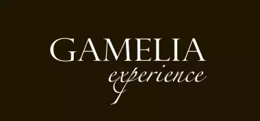 GAMELIA experience