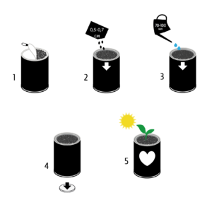 Растение в банке «Новогодняя Сосна»  набор для выращивания EXTRAGO арт.414631 оптом_фото2